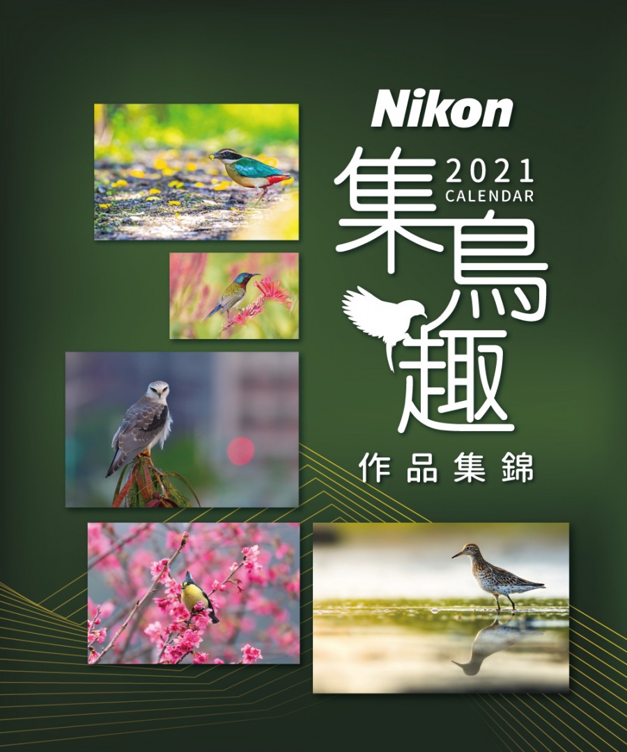 Nikon集鳥趣